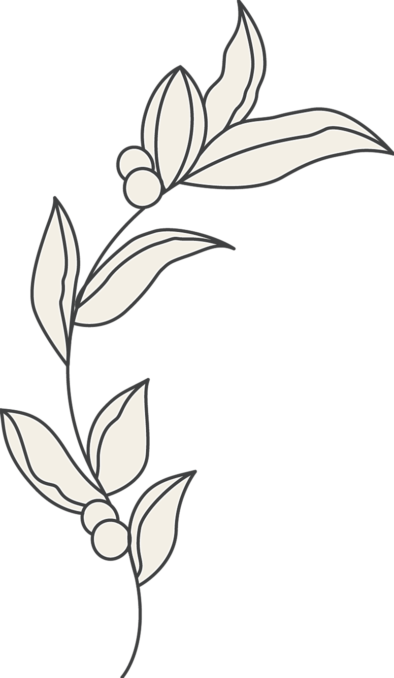 beauty esthetician 40